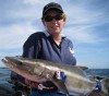 Renae's first cobia